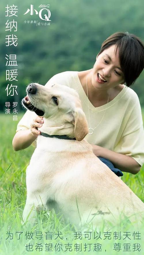 邮政银行流水账单怎么做